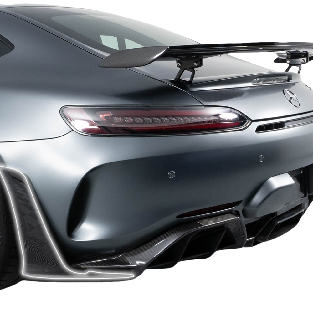 GTR Pro-Style Side Blades  AMG GT (C190)